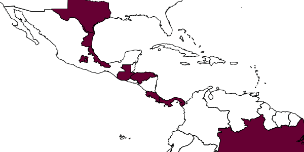 map of Epipompilus aztecus     (Cresson, 1869)
